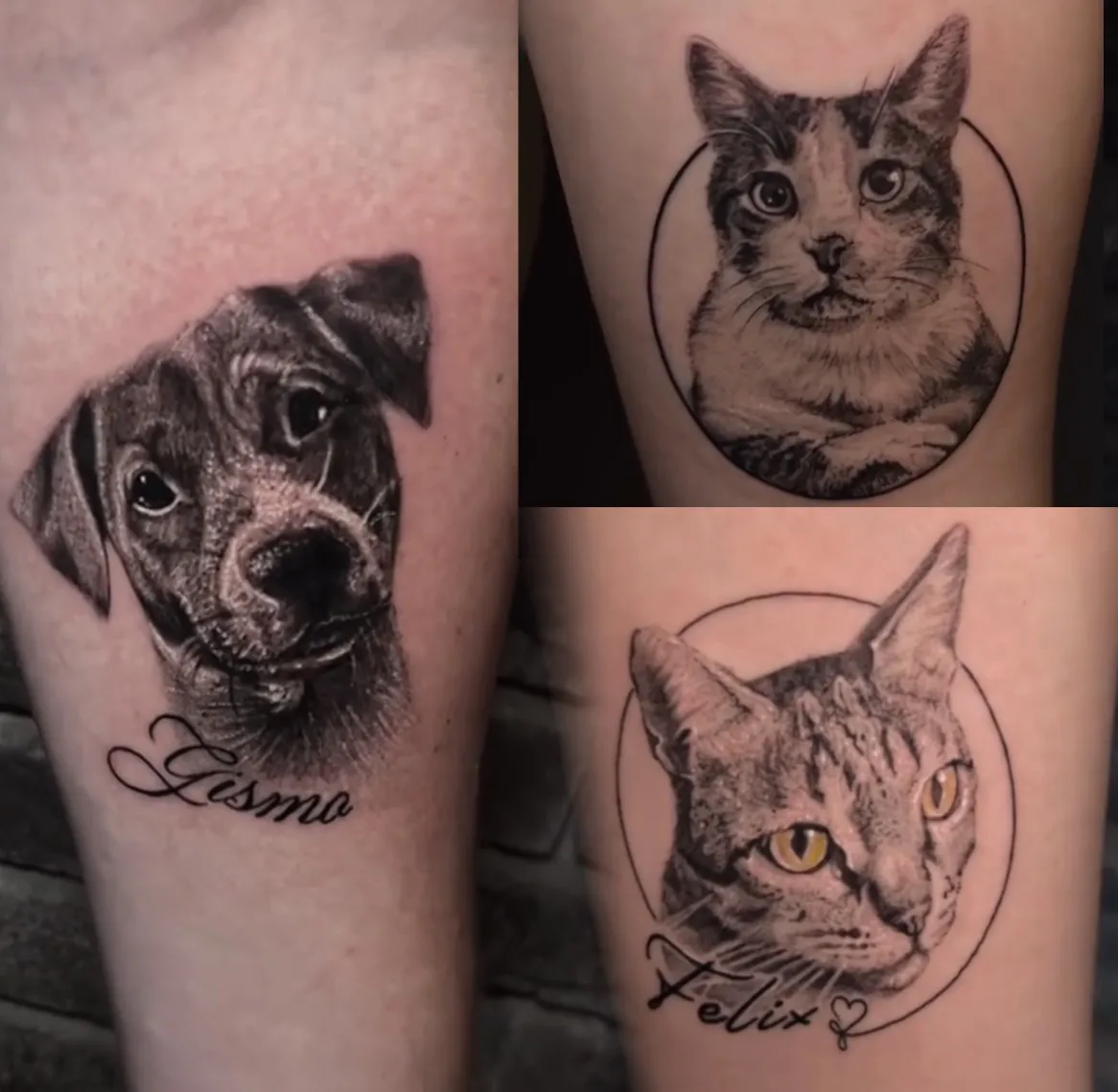 Tattoo by INKspire studio El Gouna — portfolio-09.webp